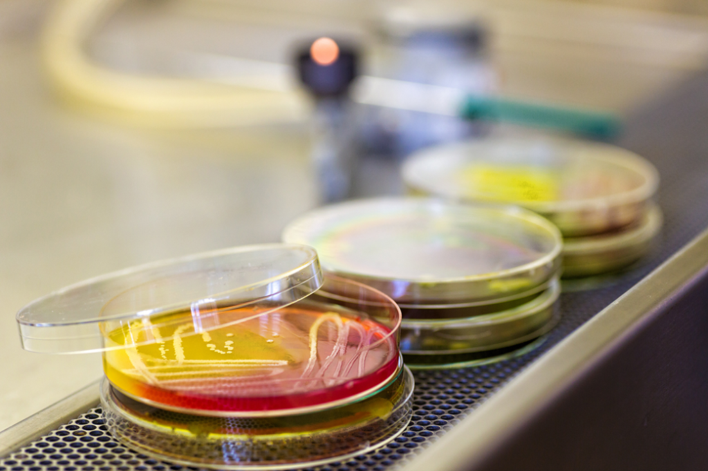 Microbiology Petri Dishes